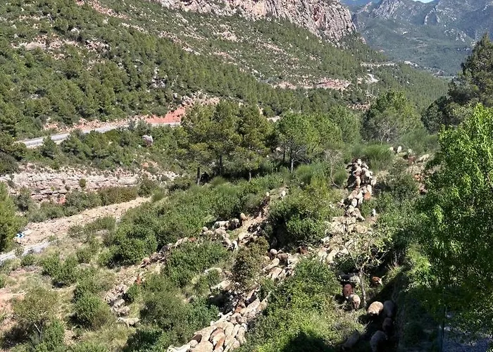 Casa Aneja Feriehus *